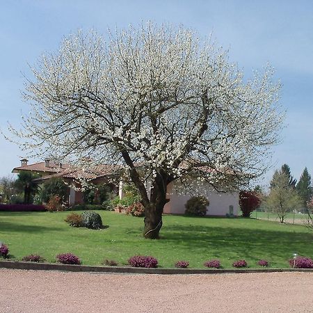 Bed&Breakfast Il Ciliegio Fiorito Somma Lombardo Bagian luar foto