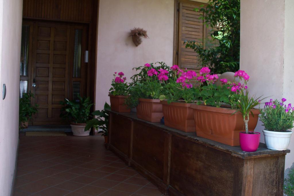 Bed&Breakfast Il Ciliegio Fiorito Somma Lombardo Bagian luar foto